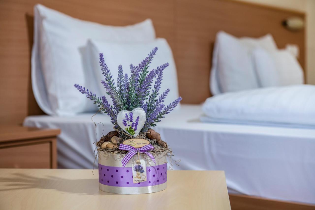 Bikács Zichy Park Hotel מראה חיצוני תמונה
